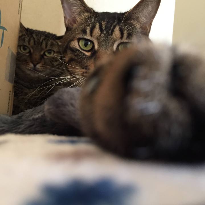 E532b403 93a5 4849 87c0 ea738aeea469