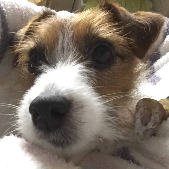 E53348bb 79be 4e6c 93c0 4c9c54d0546e