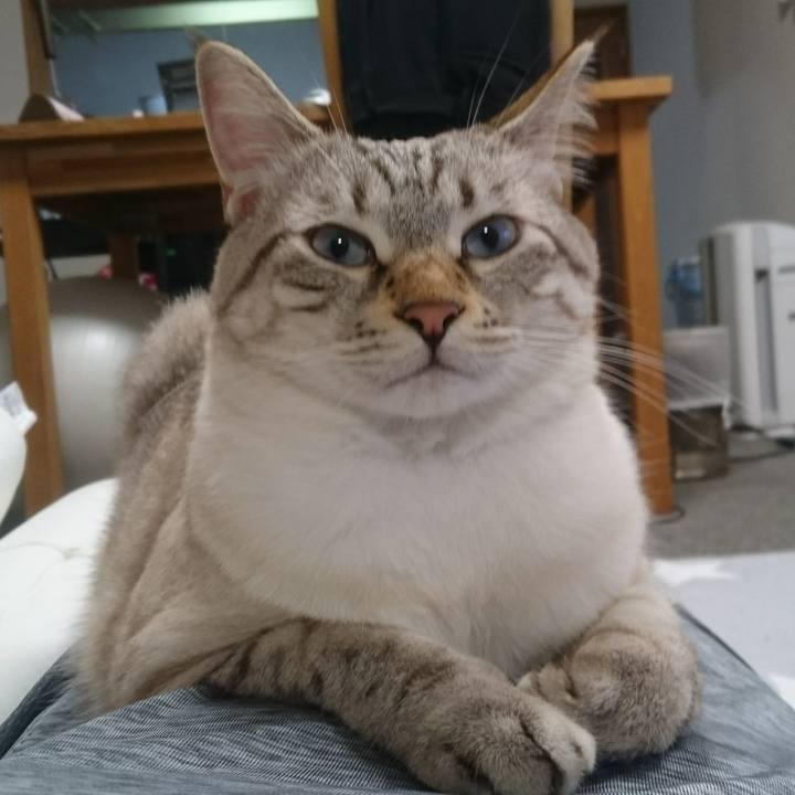 E533d2f0 6a03 4a68 880e fe2df8fcc5e6