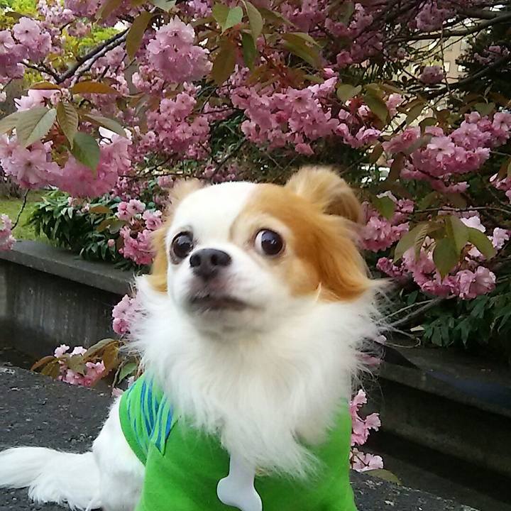 E5343341 5ec7 469e ad2d a3647826682f