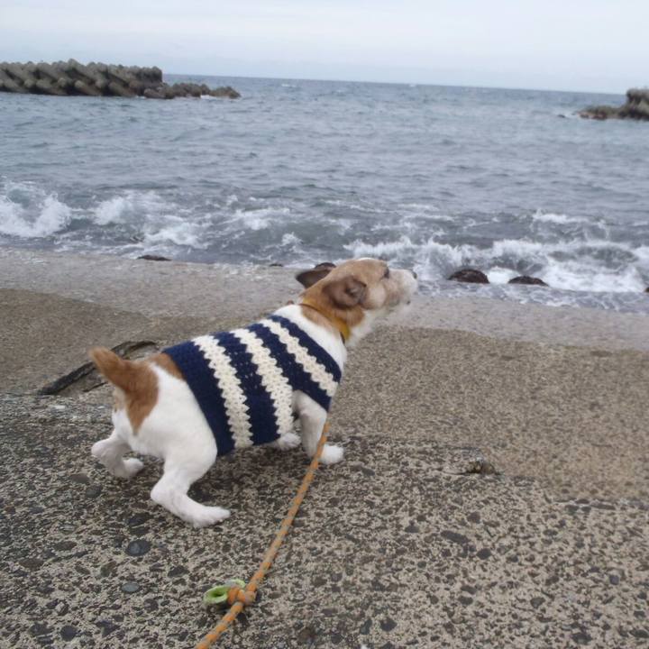 E5343d45 edd9 47d7 97f1 676df28356a8