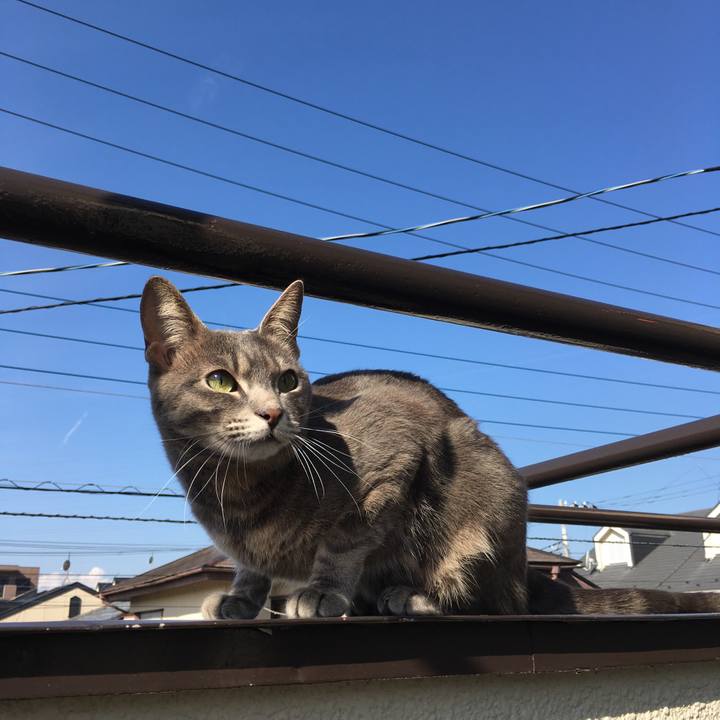 E5348a16 8383 4ec9 aaa8 5e1adab64cdb