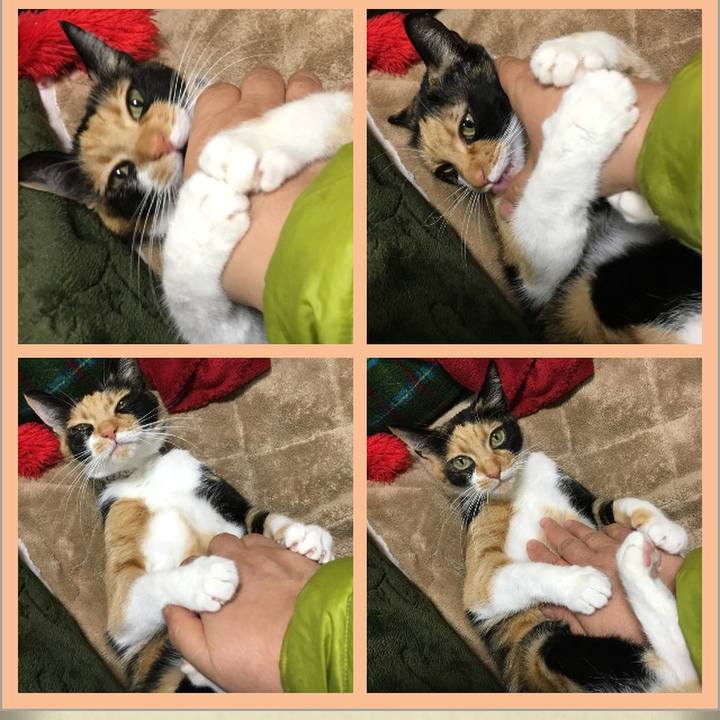 E5354fbe 037d 44c9 bd3f 8db1f5f0d4d6