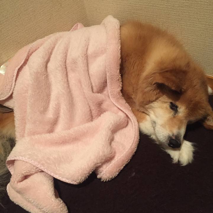 E5360049 b0af 490e 99a9 244f21102202