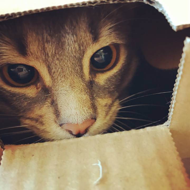 E5368ff6 8edd 4f44 8a90 280c225926b5