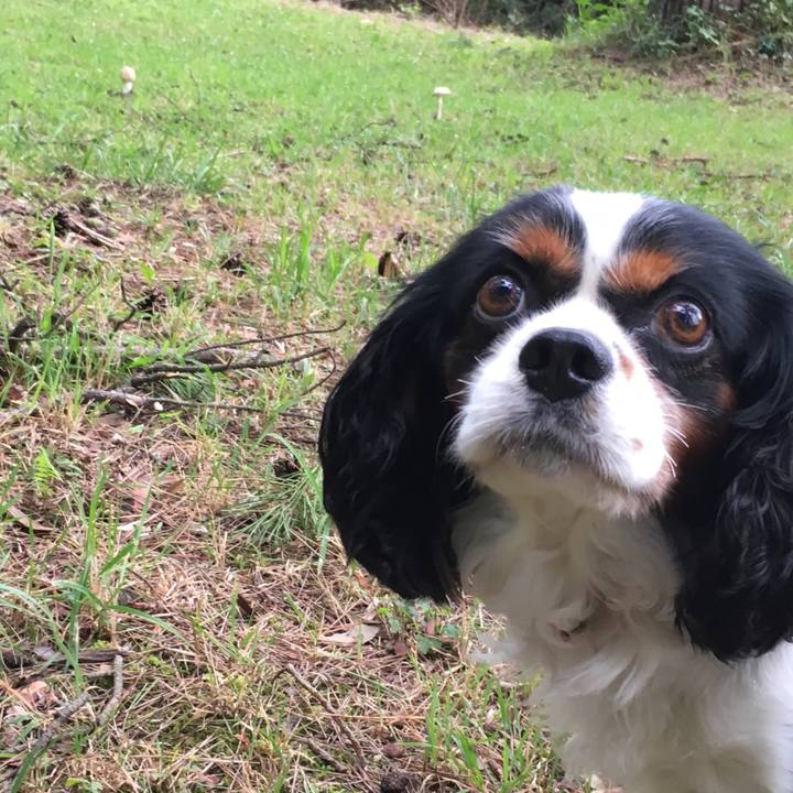 E536accb e3af 4a5a aa4b 14fa33cb3018