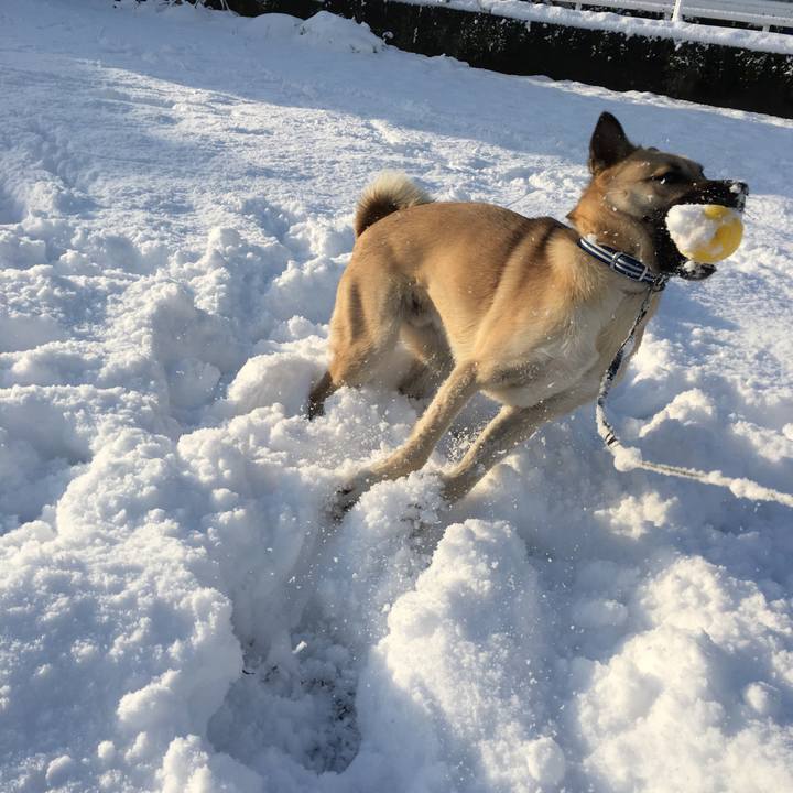 E536fc9c 56fe 4d16 a977 f4f0a454ce12