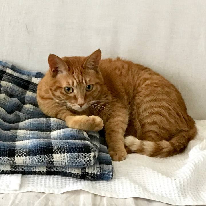 E5378e00 78b6 4452 b944 939c802a2093