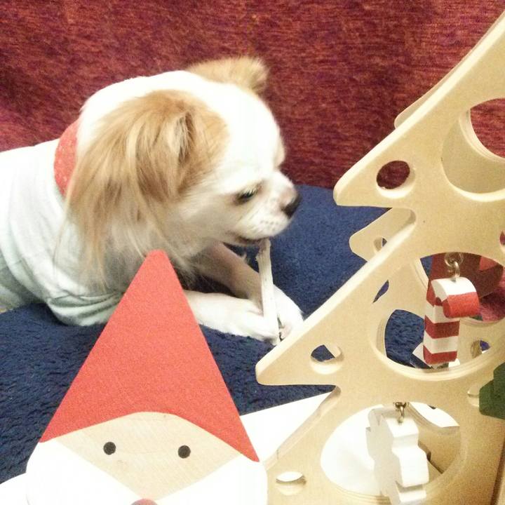 E537ab92 bb82 4370 be76 638aaa1e3f00