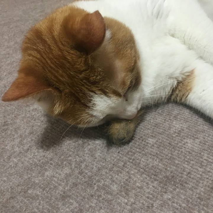 E537df6f ddf8 4d31 94cd b07ac178e1cb