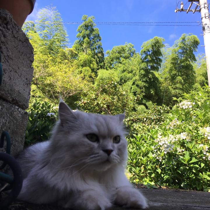 E53863a1 0887 4937 aa2d 35d57154e4a7