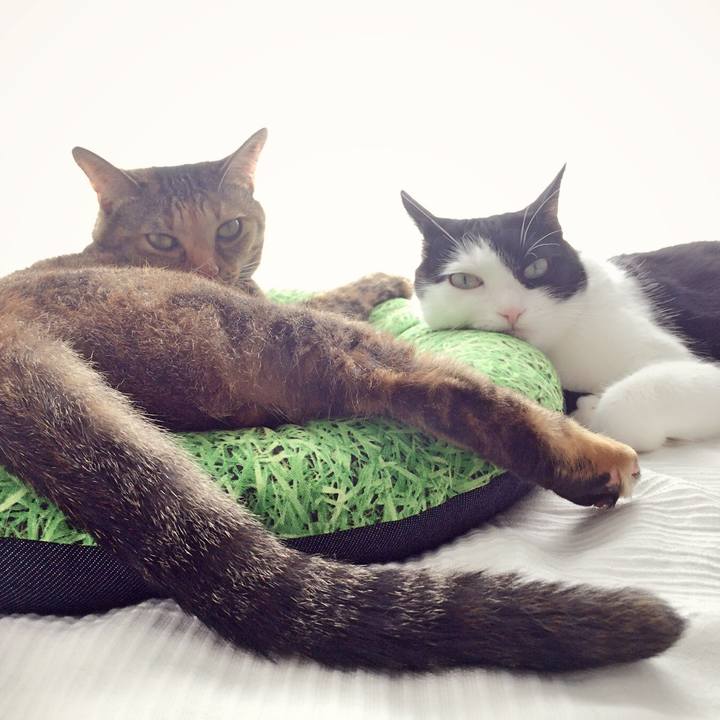 E5388c0a 1830 4192 bd40 699c2ea85824