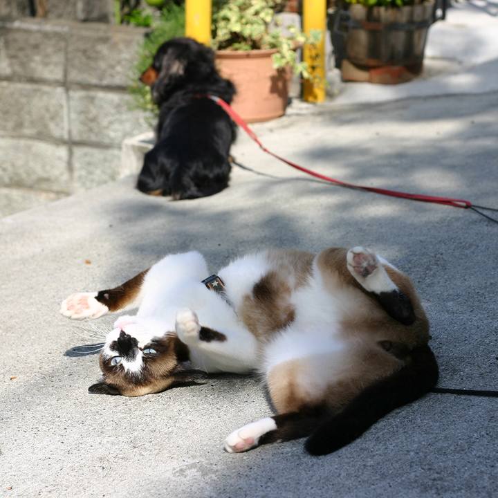 E539b875 79dd 4b6d bf5e 611c523eb3fe