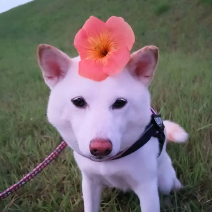 E53a0637 be90 4f59 b622 ed3b0ac0eb29