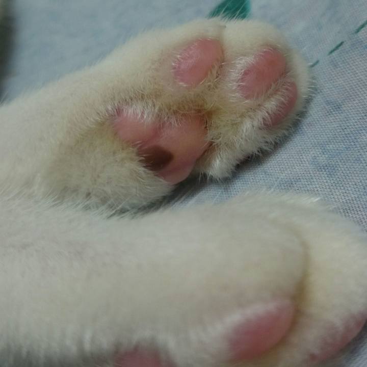 E53a65b4 6a34 4590 b557 0f8ec2d3792d