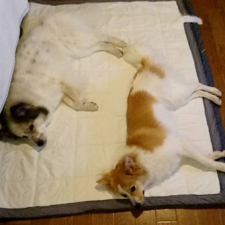 E53a6c7a 0a36 47a8 aad7 641e648d141e