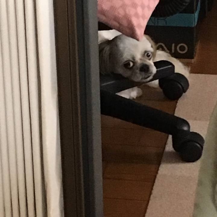 E53bd7ac 56b6 436e 9883 3db49d05f68b