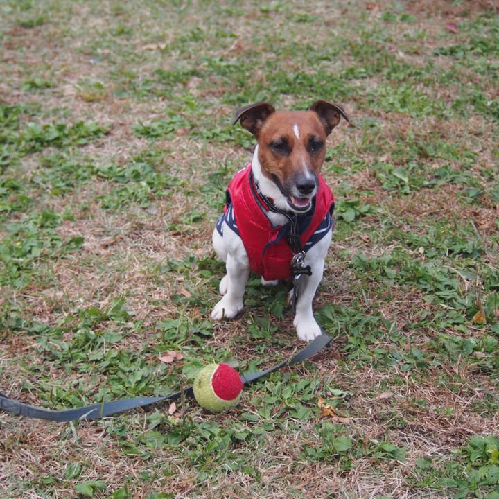 E53bd937 f0c8 4fea b1ae adccafb7fa6d