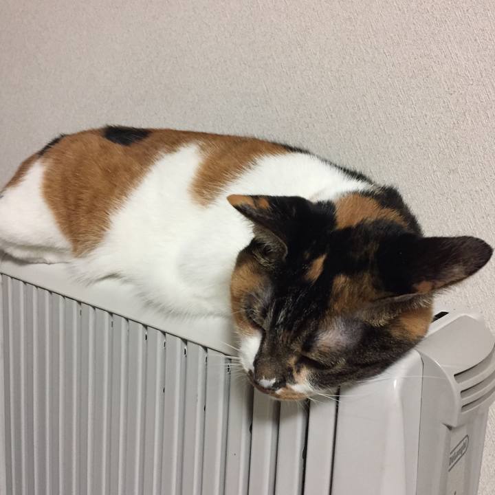 E53be6aa 9eed 4651 b663 fc94facbc715