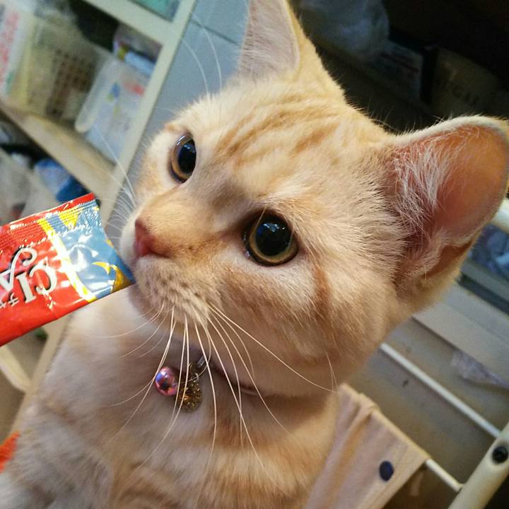 E53c5845 f217 4027 aba8 954038b192e8