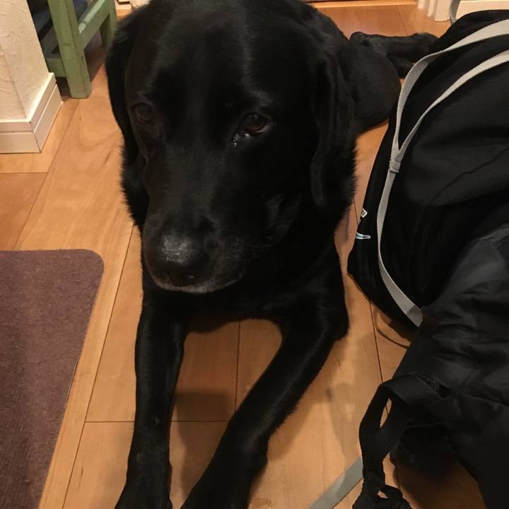 E53c8fad ed7a 4b52 b31a 29d38951c190