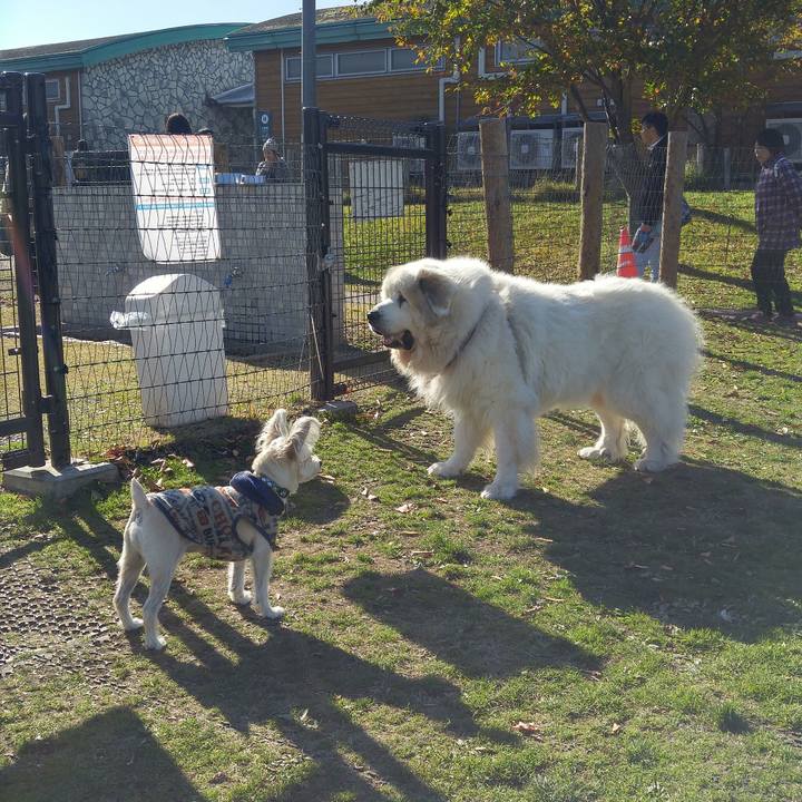 E53cf045 0fff 4bc2 beb2 9e15754b305a