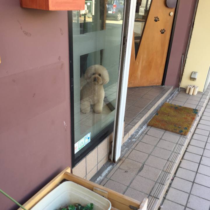 E53da95a a851 4585 b1dc 084a2f3068f0