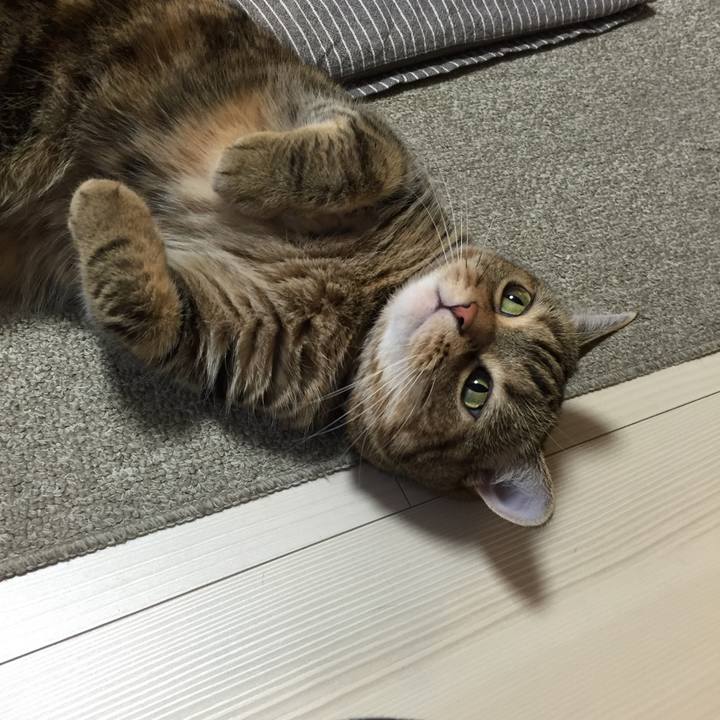 E53dabf0 7ef1 4a55 bdd0 7318a73b011d