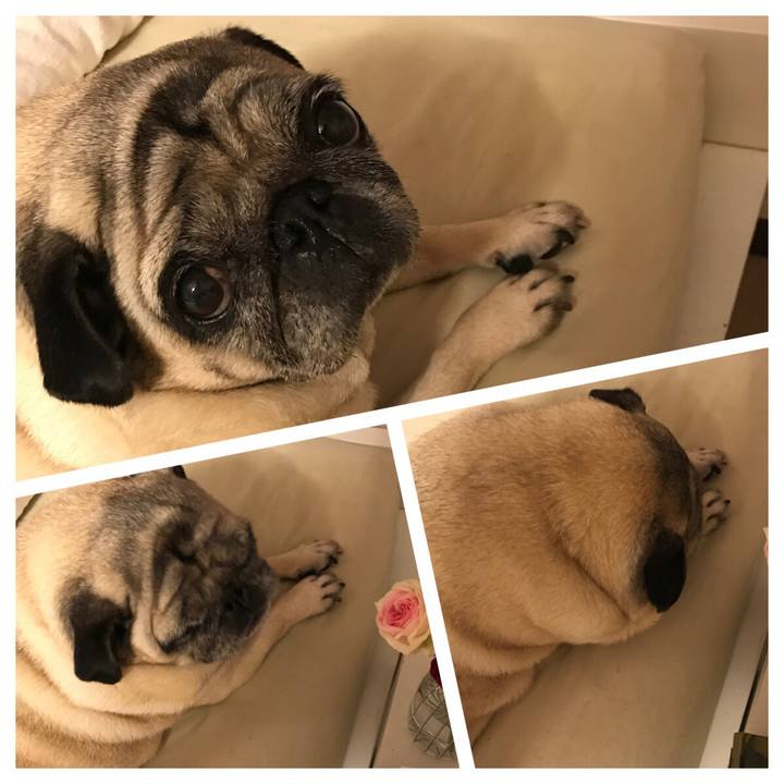 E53e6f78 46d7 494e 9068 c98ce26ac9c9