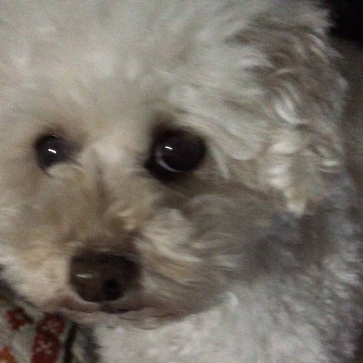 E53f123d 945c 459a b25b e4b3676353f1