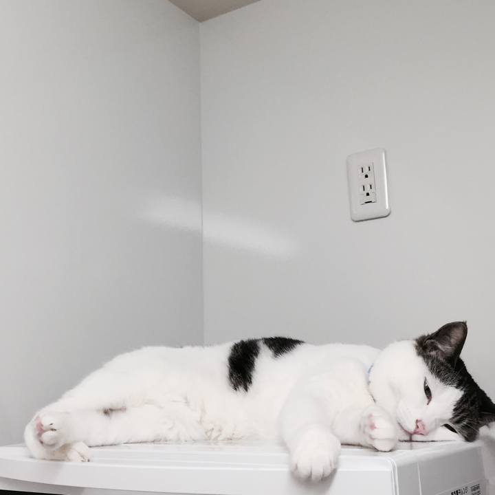 E53f1cc9 16e7 41d1 81ad 19f4ffbb9640