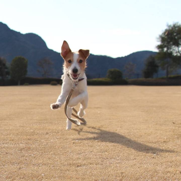 E53ff6d3 02e2 4b9d 8e24 9a0d0eec5160