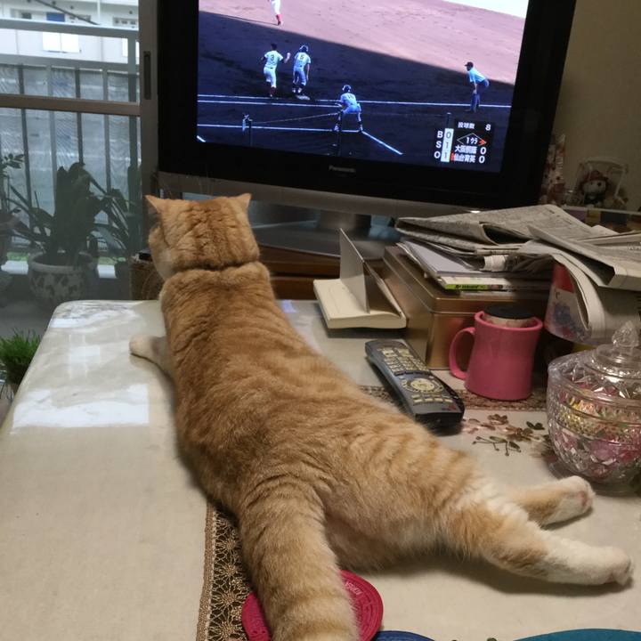 E5405003 9dda 419d b2da 59c2e0a0877f