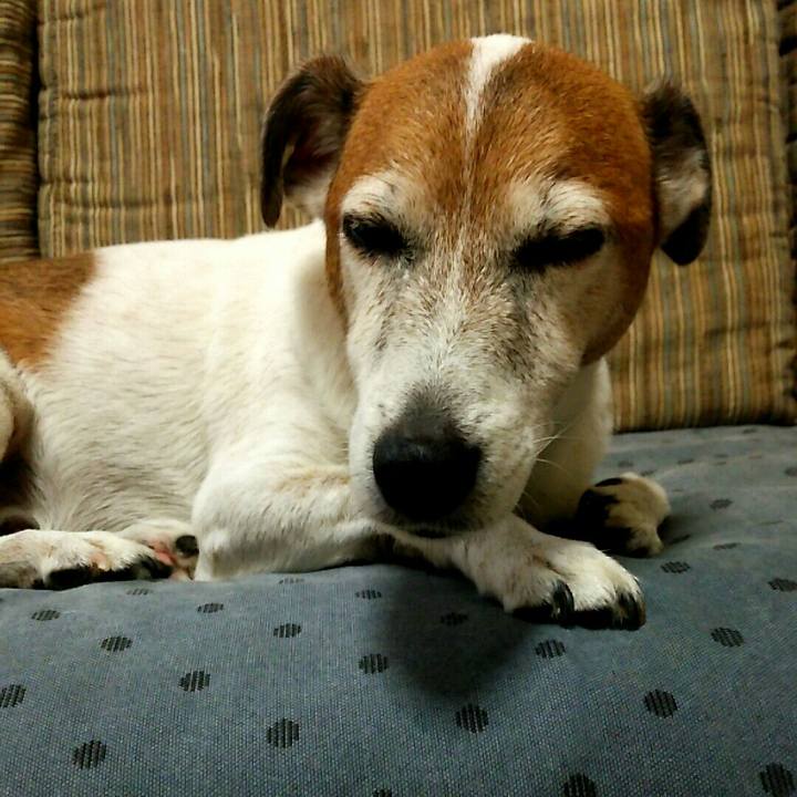 E5406095 529f 479c b303 0447be8066a2