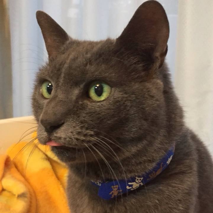 E540626f bb01 4eaf 8a9f 8adf91e7aa9a