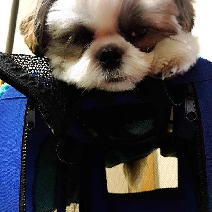 E540f2a9 6e18 4ecc b427 35bccf4333a3