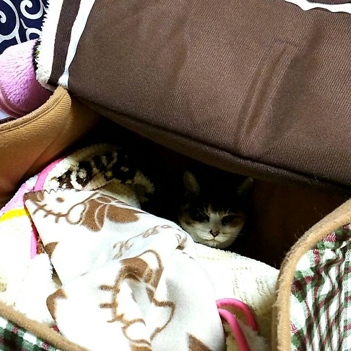 E5410360 2cd7 407f ac19 e23c54bb26ee