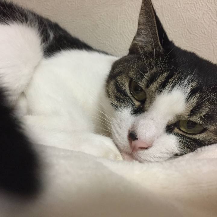 E54162f7 f797 4469 ac7b a2695c1e1cf6