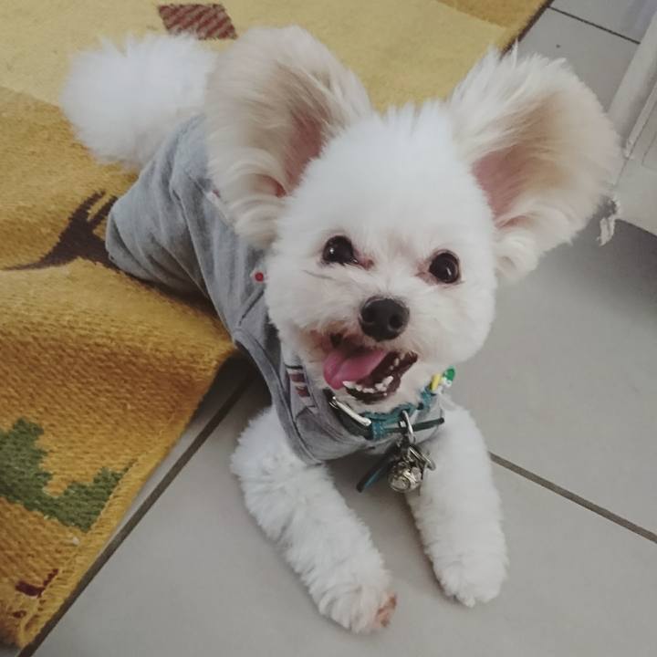 E541aeb7 c1ce 4218 a2da 7241ac5db23f