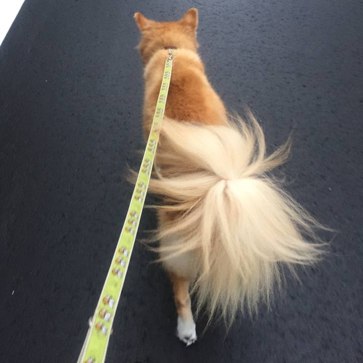 E5420238 352a 4836 90ae fda120852138