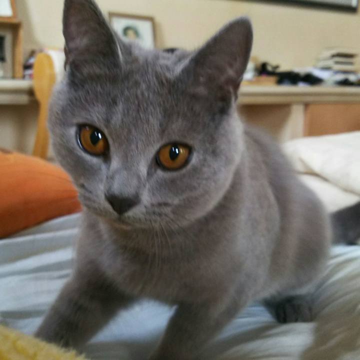 E5423f48 7539 4bcd 8289 3eef870b0db6