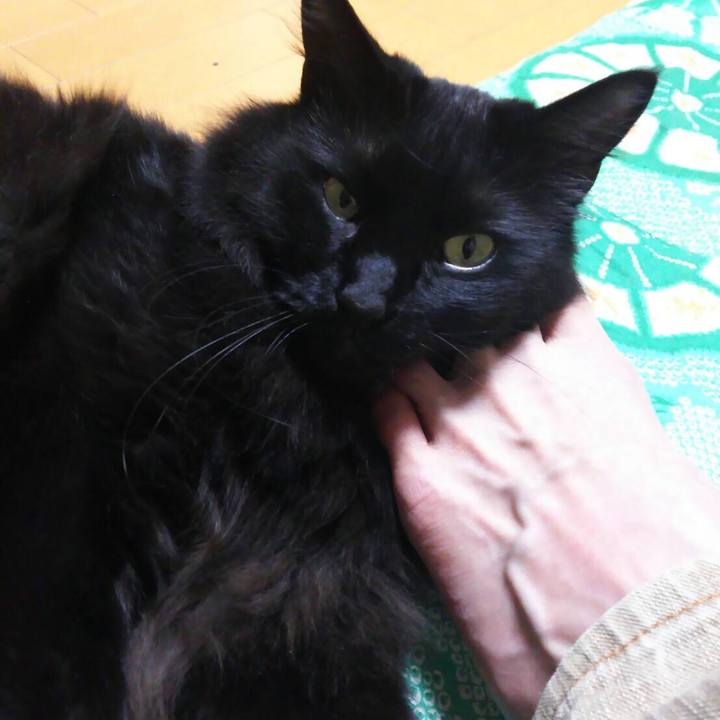 E5428054 1a8f 4c34 b731 312bc475d034