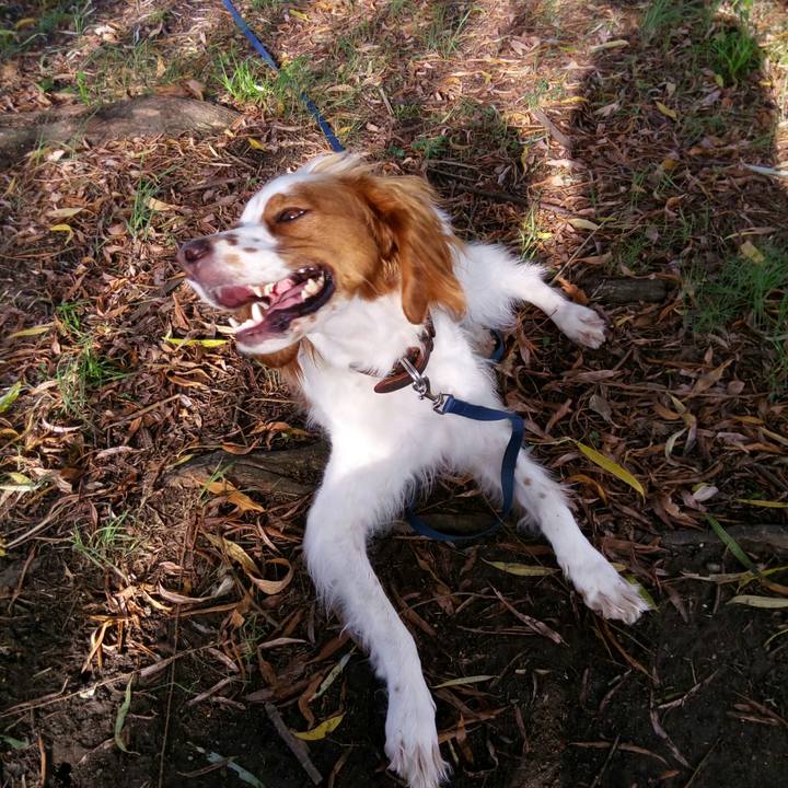 E543039a e448 4c14 af63 b0e33b761869