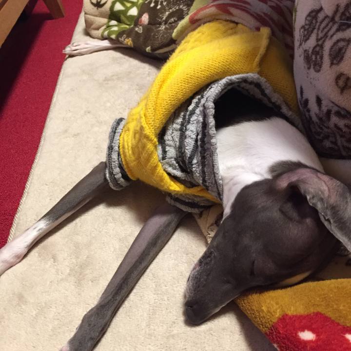 E5445767 faec 4855 9209 eac3198098e7