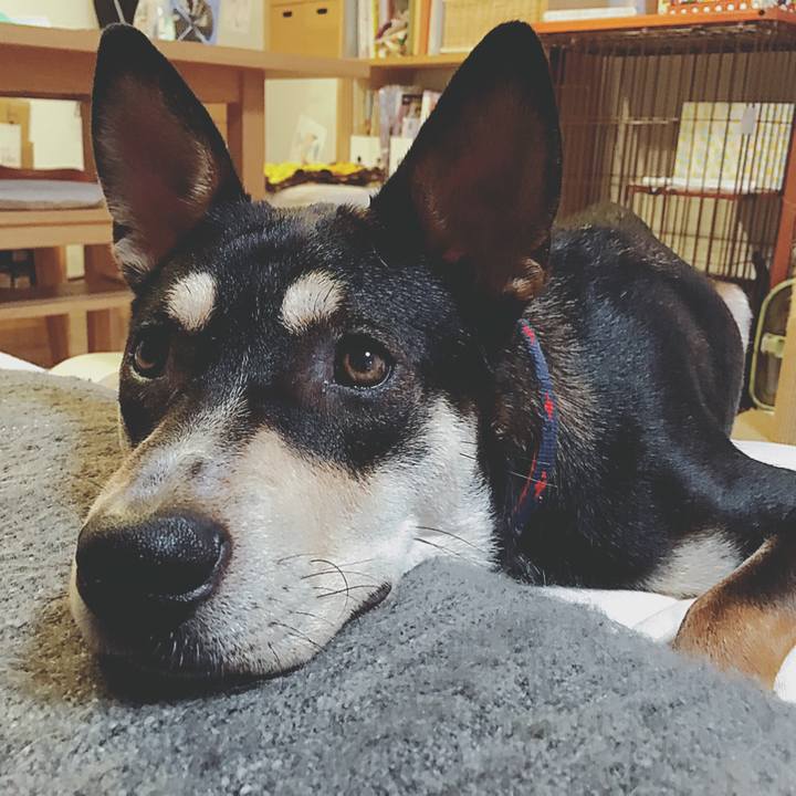 E5446351 16d3 4263 bef0 5192aa397a92