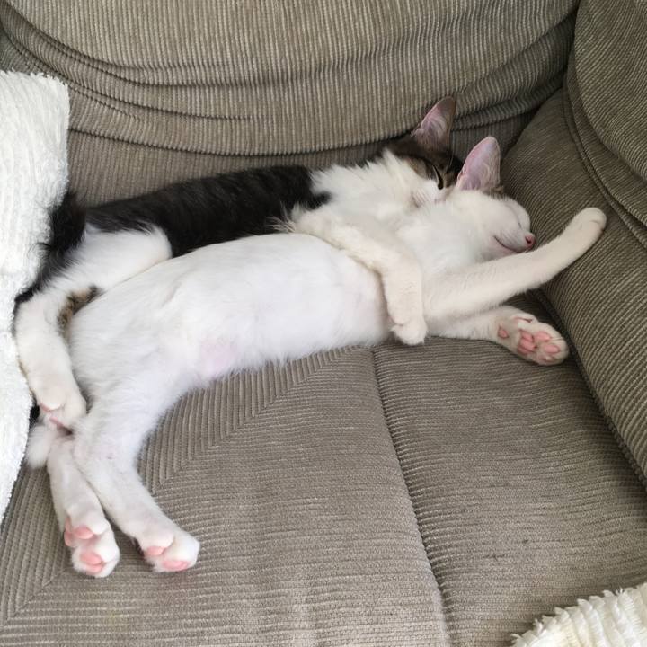 E544c649 a142 4a6a 8d92 58a2fce57042