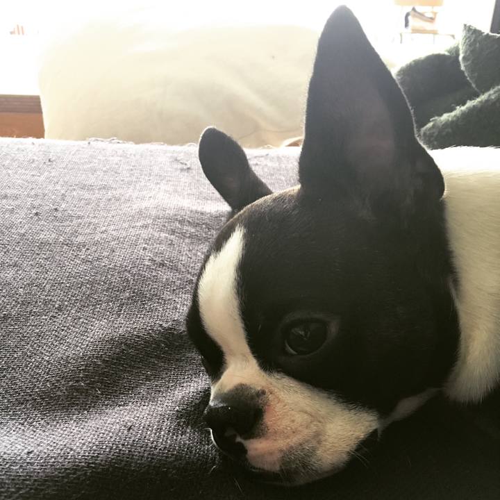 E544d127 88b6 44a3 b521 61c307fb221f