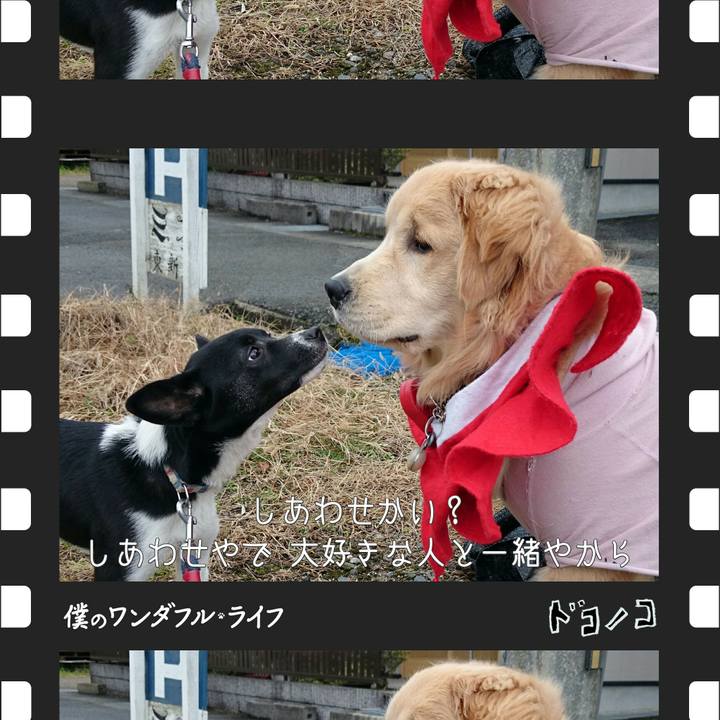 E54549aa e9c8 427b 8d03 4cd55dbef579