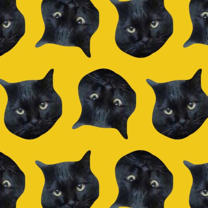 E545cce5 7be9 41f6 b480 a4fd966018a3