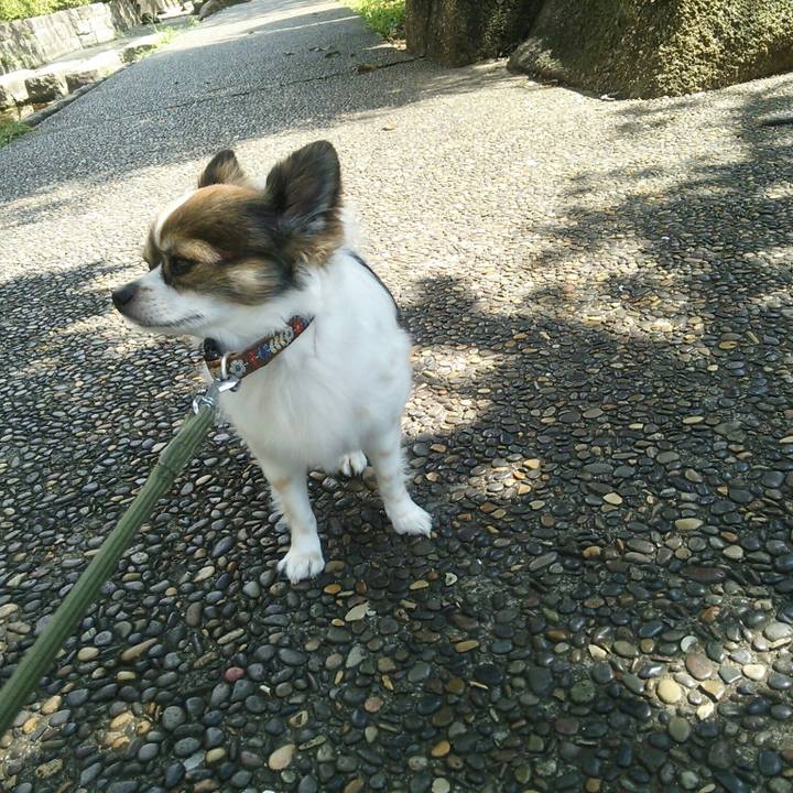 E5461177 ac77 489a b6ae f1081984e21b